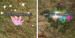 2-6.png