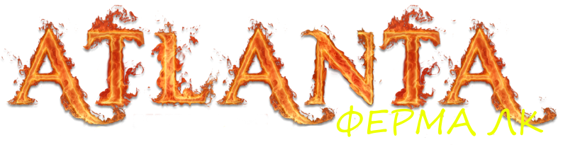 ferma.png